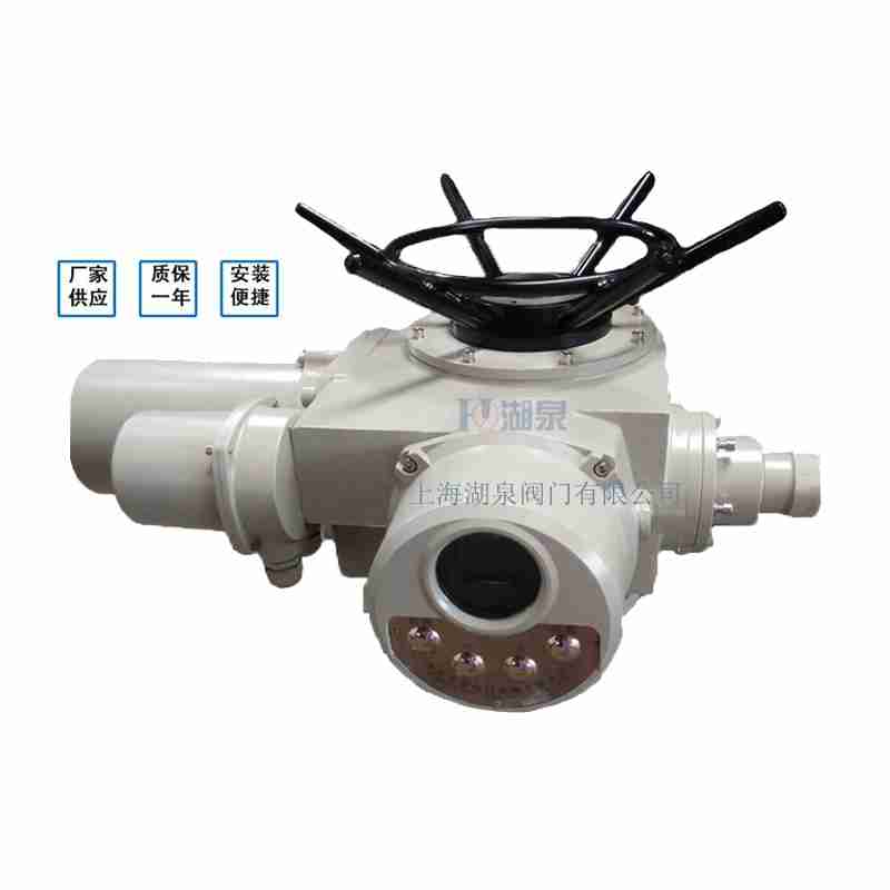 閥門電動裝置（dzw05,10,20，30,45,60，90,12