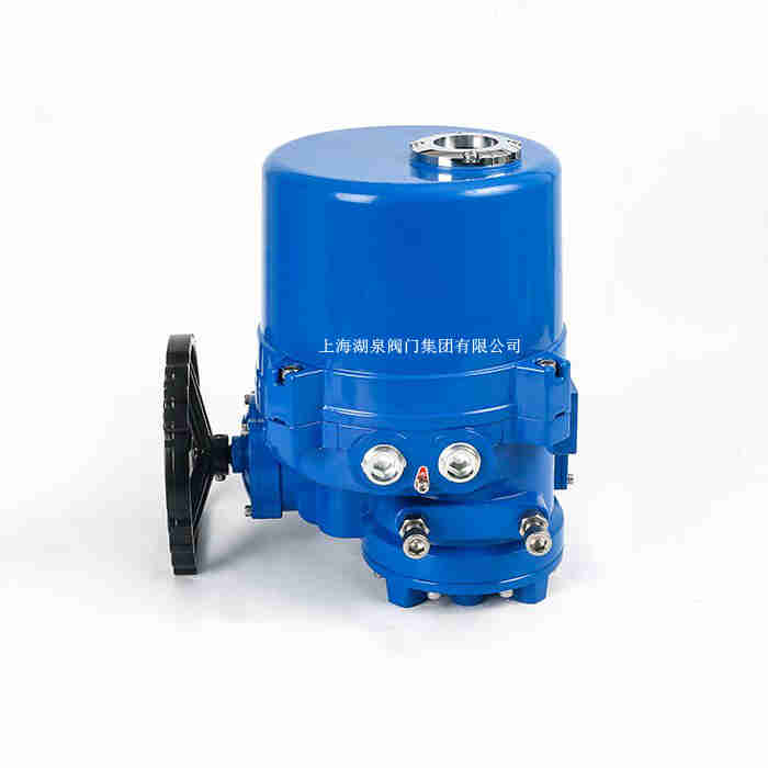 lq系列閥門(mén)電動(dòng)裝置生產(chǎn)廠(chǎng)家